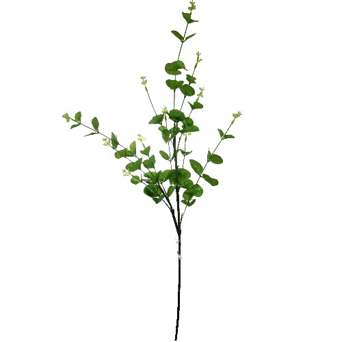Small Green Eucalyptus Spray