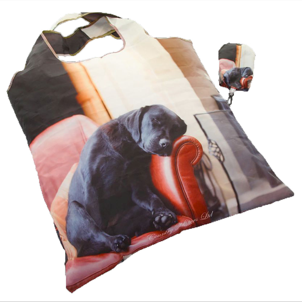 Sleeping Lab Fold Away Bag