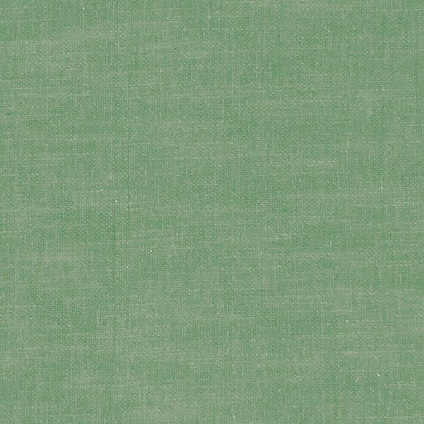 Amalfi Palm Roman Blind