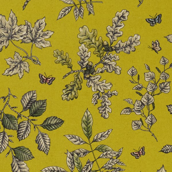 Hortus Chartreuse Roman Blind