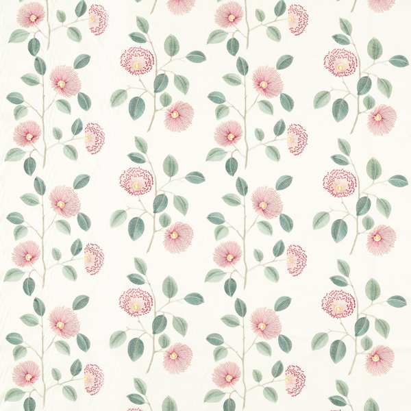 Monique Blush/Raspberry Roman Blind