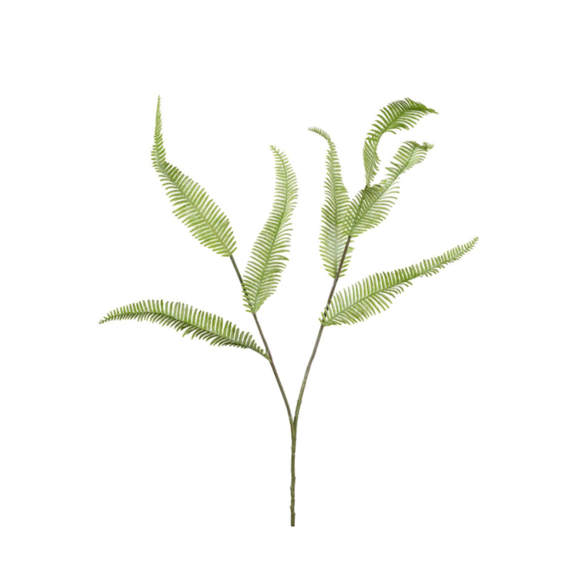 Dusty Green Fern Spray