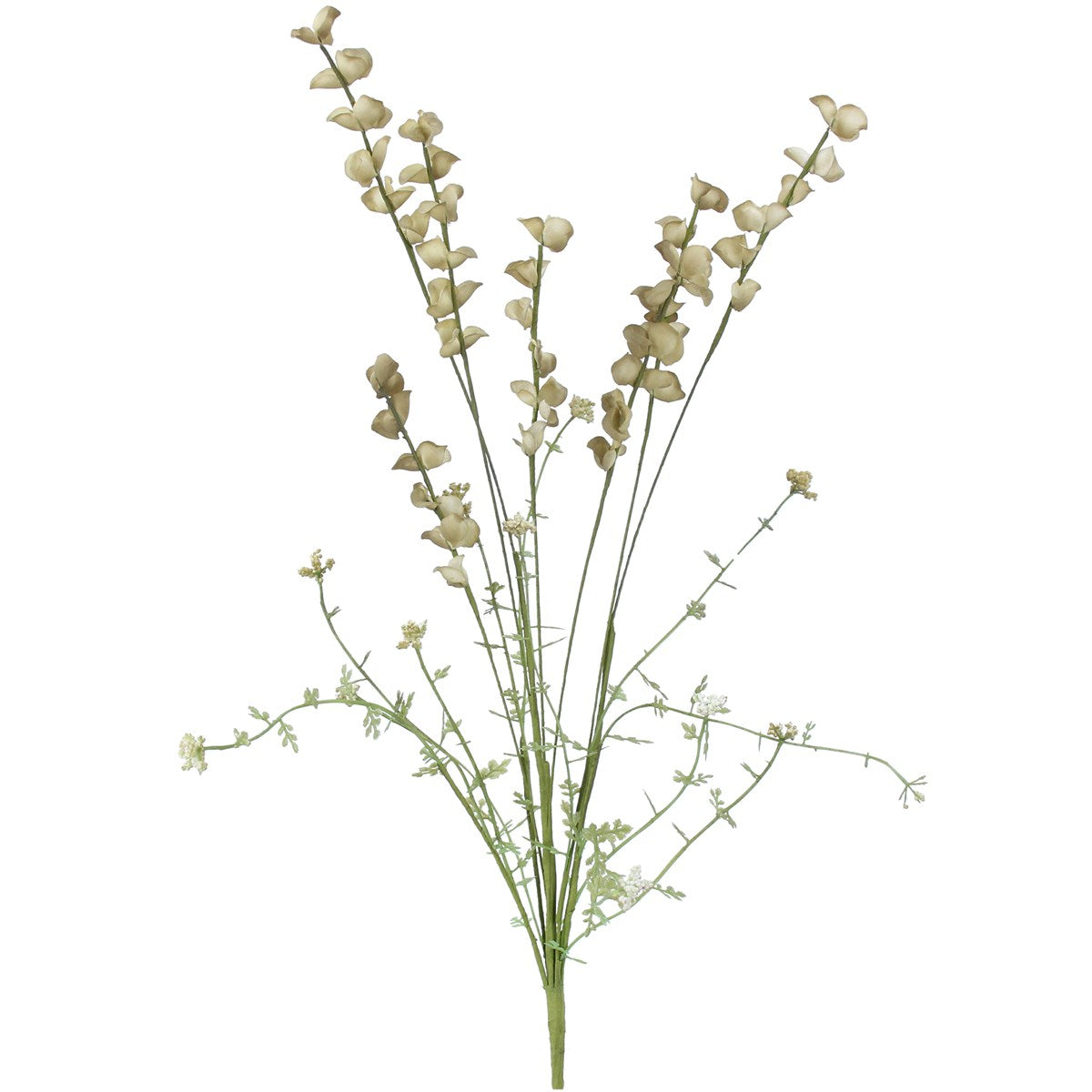 Green Wild Lupin Spray