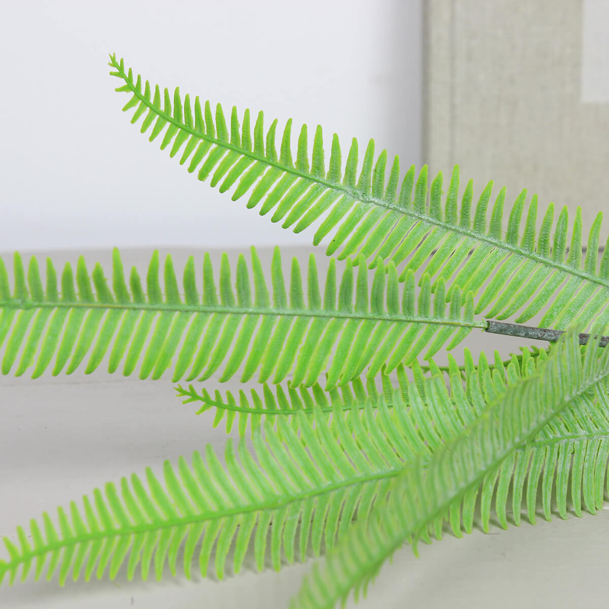 Dusty Green Fern Spray