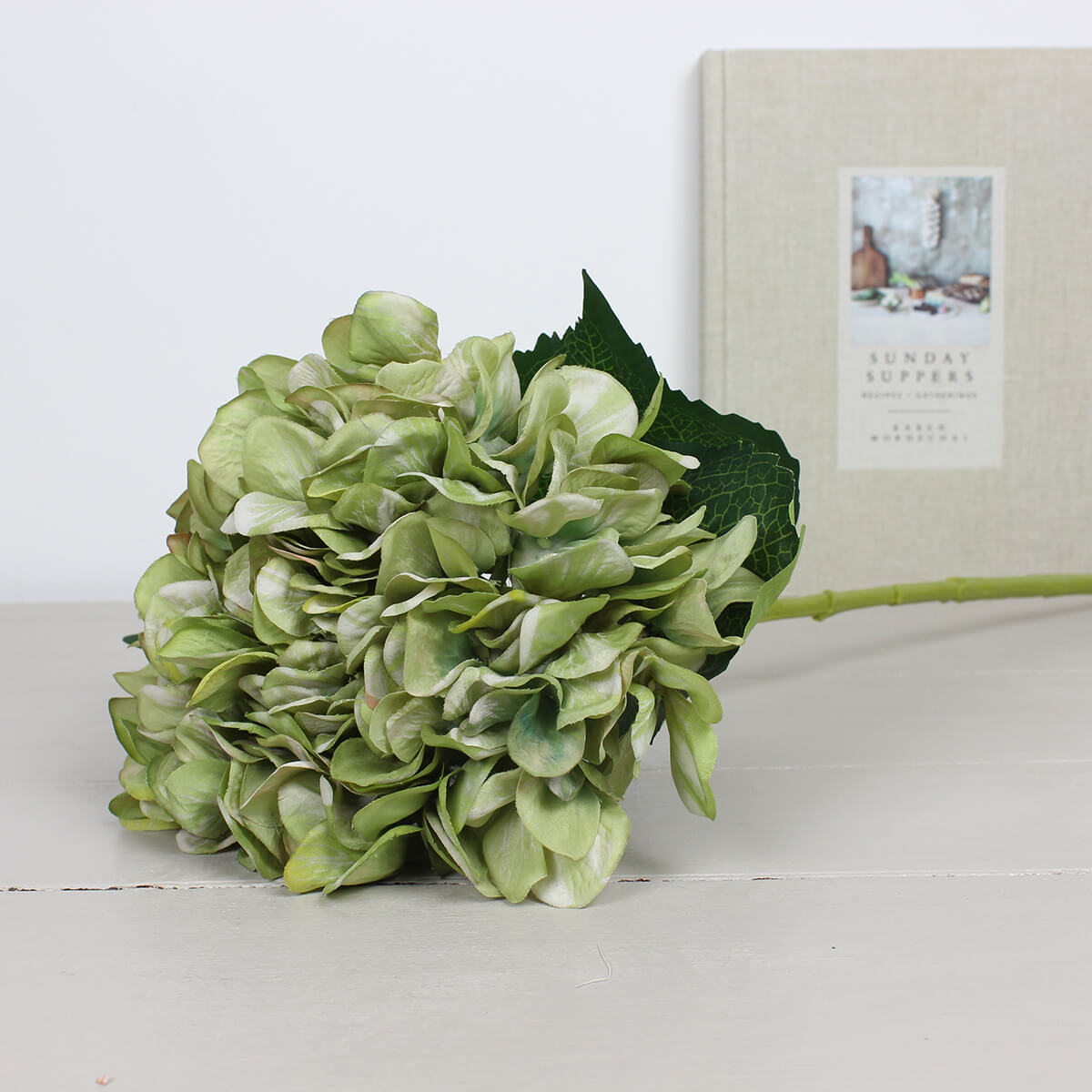 Antique Green Giant Hydrangea Stem