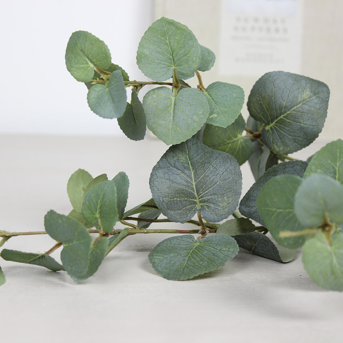 Natural Eucalyptus Spray