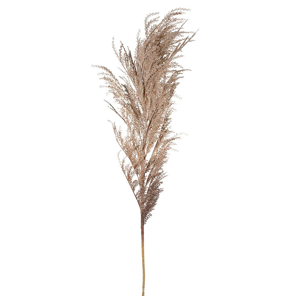 Beige Dried Reed Spray