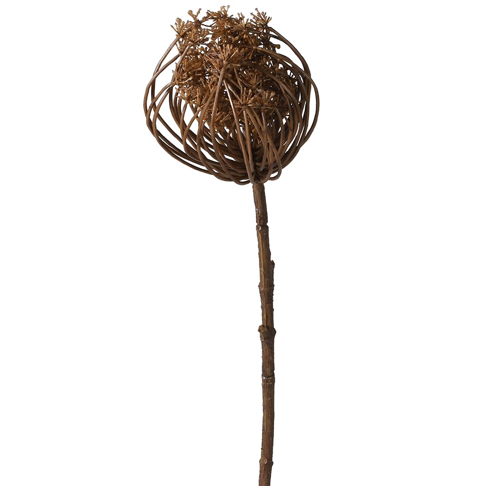 Queen Anne's Lace Stem