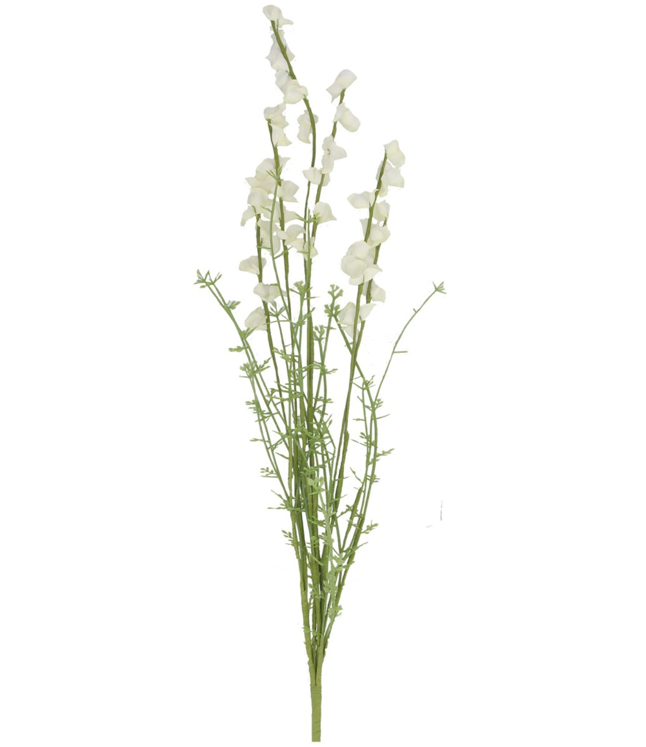 White Lupin Spray