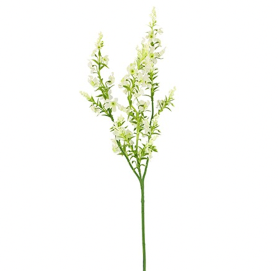 Ivory Chloe Catmint Spray