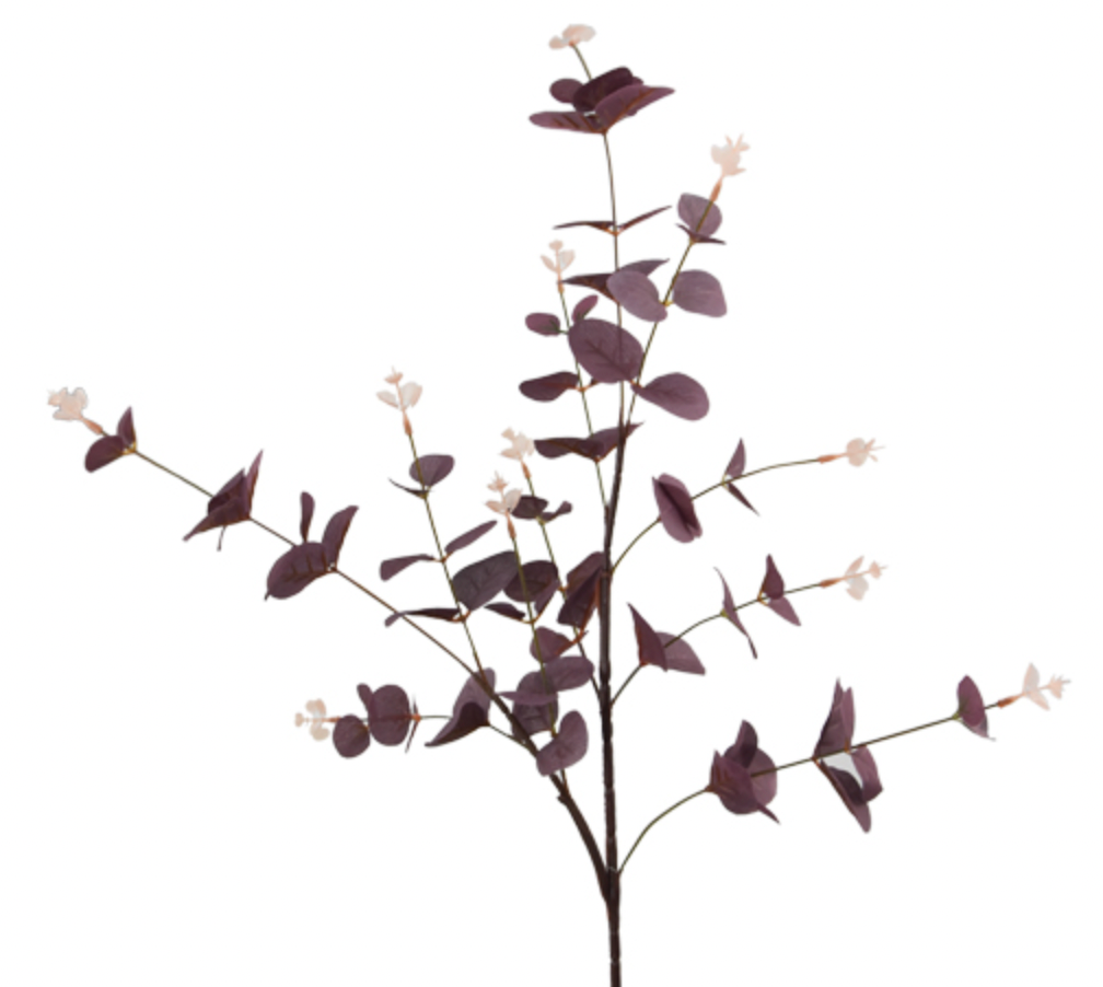 Burgundy Eucalyptus Spray