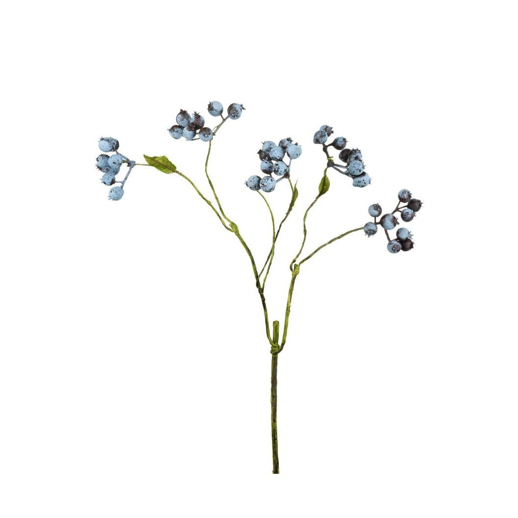 Dark Blue Blueberry Spray