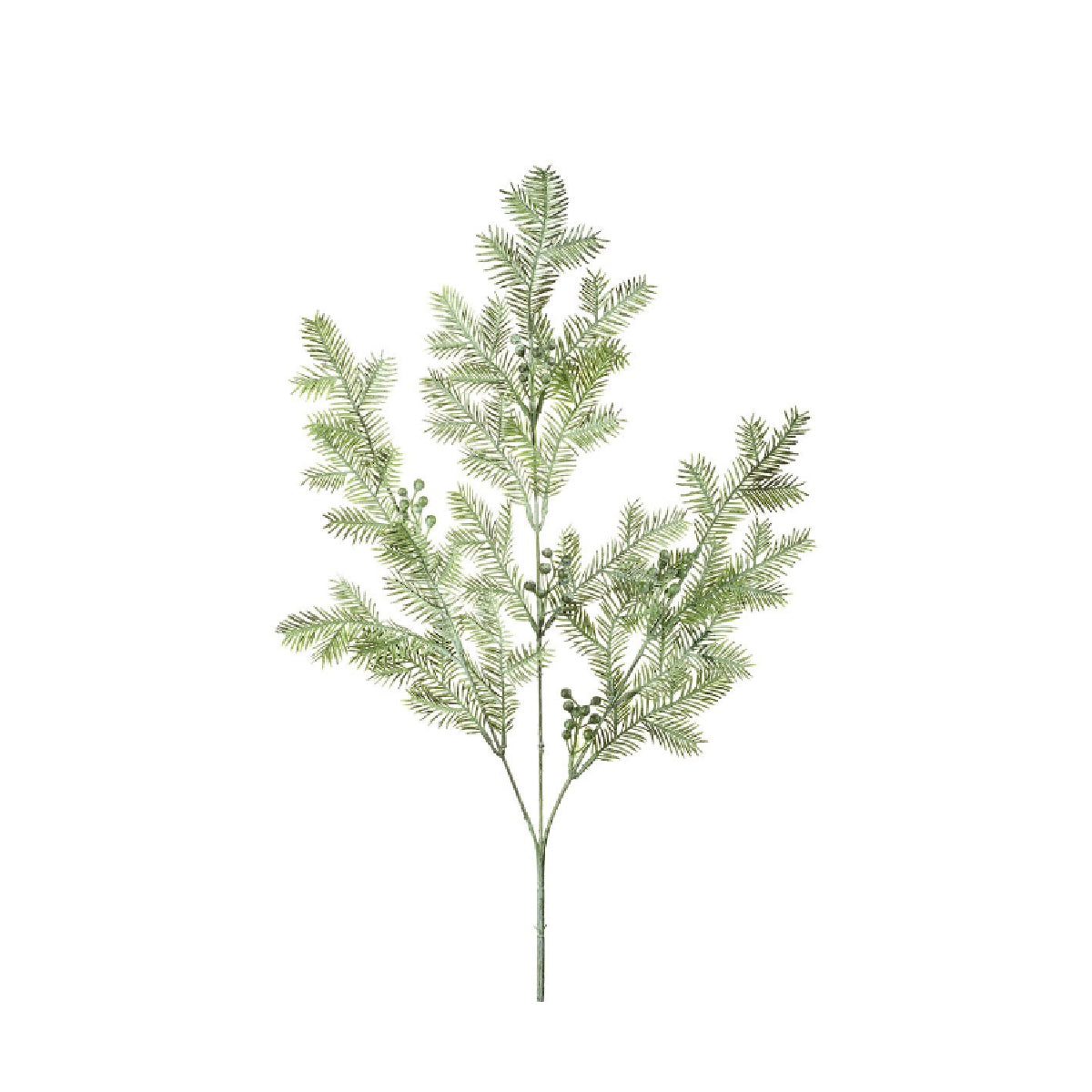 Dusty Green Pine Bush